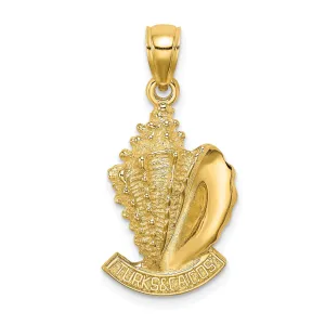 14K Yellow Gold Textured Polished Finish 2-Dimensional TURKS & CAICOS Under Conch Shell Charm Pendant