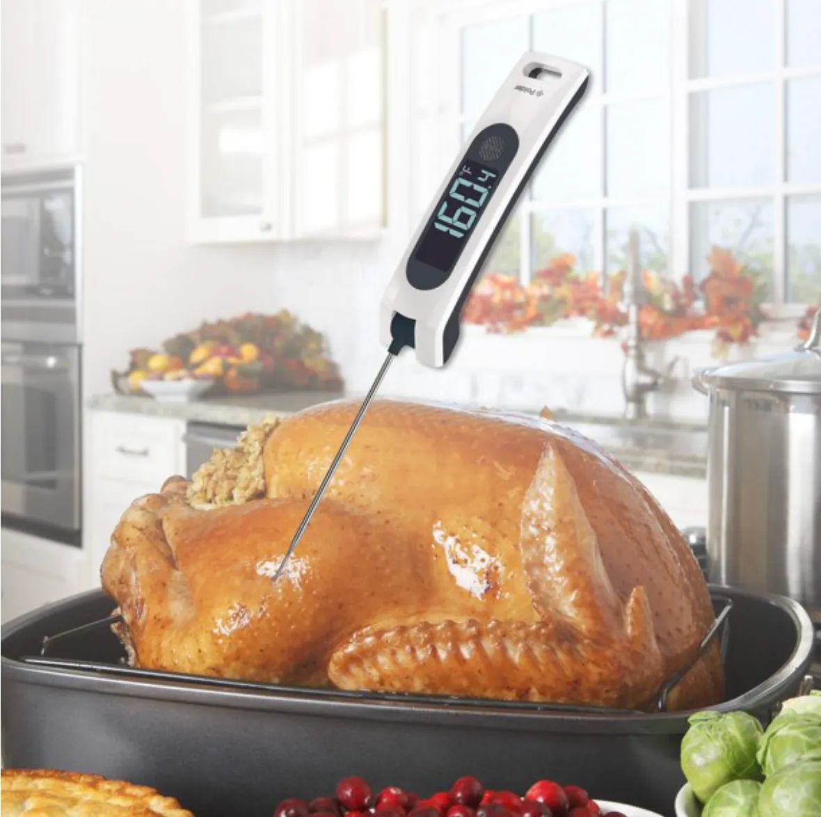 Polder Sous Chef Rapid Read Thermometer